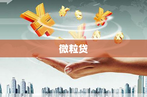 大甲微粒贷