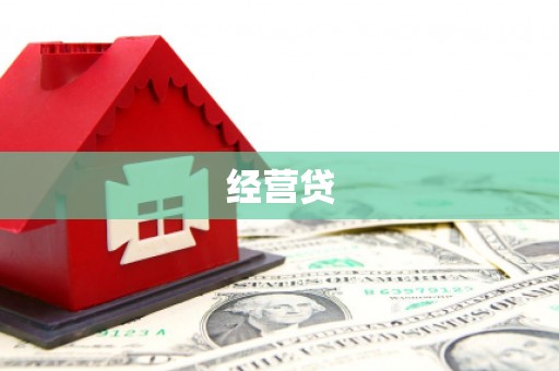 大甲经营贷