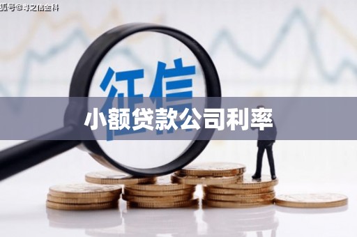 大甲小额贷款公司利率