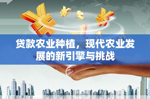 大甲贷款农业种植，现代农业发展的新引擎与挑战