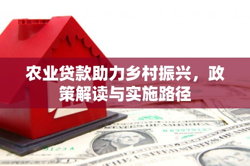 大甲农业贷款助力乡村振兴，政策解读与实施路径