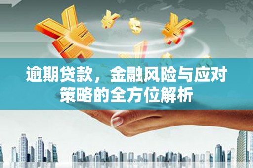 大甲逾期贷款，金融风险与应对策略的全方位解析