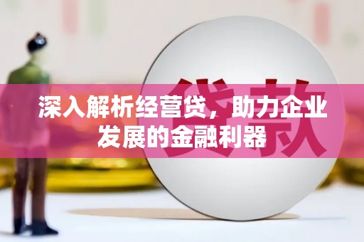 大甲深入解析经营贷，助力企业发展的金融利器