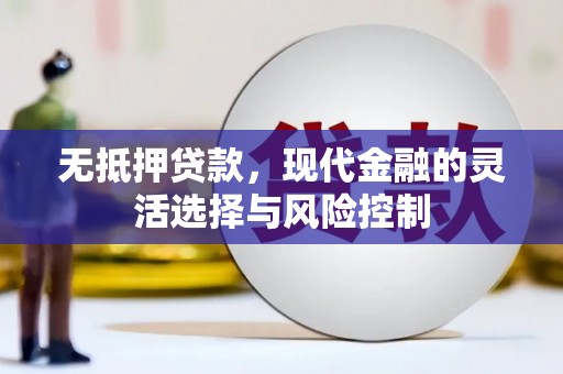 大甲无抵押贷款，现代金融的灵活选择与风险控制