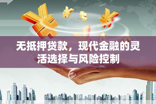 大甲无抵押贷款，现代金融的灵活选择与风险控制