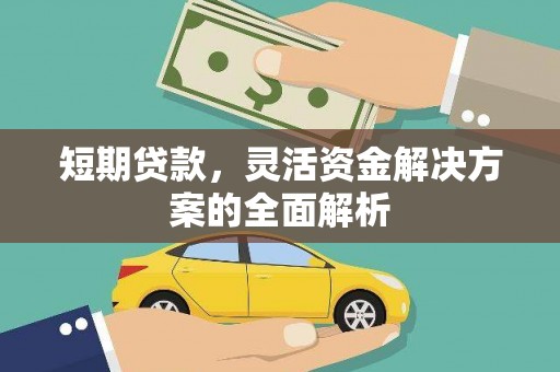 大甲短期贷款，灵活资金解决方案的全面解析