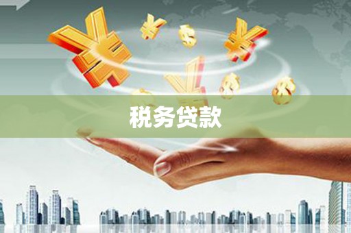 大甲税务贷款