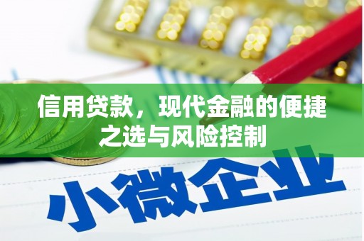 大甲信用贷款，现代金融的便捷之选与风险控制