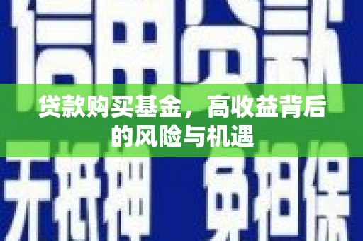 大甲贷款购买基金，高收益背后的风险与机遇