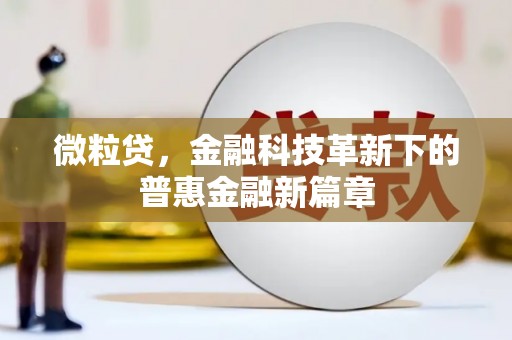 大甲微粒贷，金融科技革新下的普惠金融新篇章