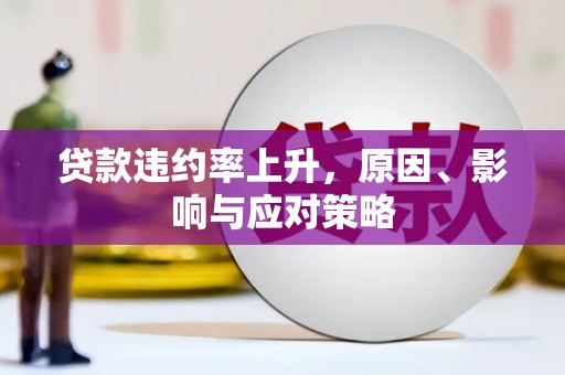 大甲贷款违约率上升，原因、影响与应对策略