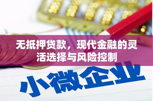 大甲无抵押贷款，现代金融的灵活选择与风险控制