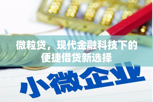 大甲微粒贷，现代金融科技下的便捷借贷新选择