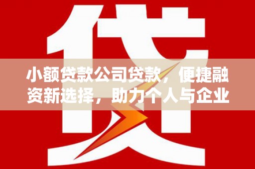 大甲小额贷款公司贷款，便捷融资新选择，助力个人与企业成长