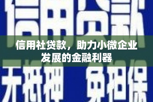 大甲信用社贷款，助力小微企业发展的金融利器