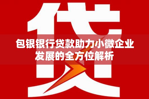 大甲包银银行贷款助力小微企业发展的全方位解析