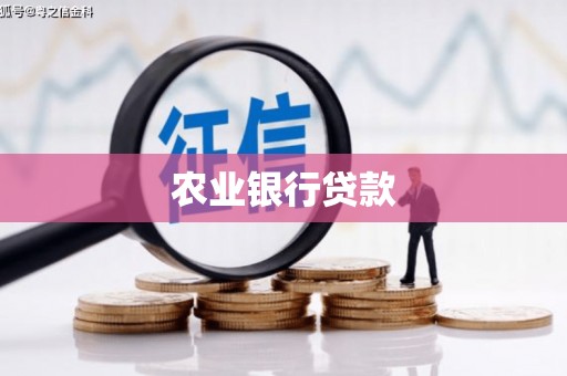 大甲农业银行贷款