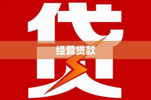 大甲经营贷款