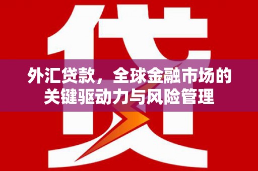大甲外汇贷款，全球金融市场的关键驱动力与风险管理