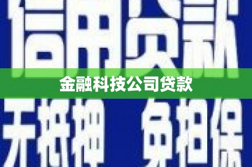 大甲金融科技公司贷款