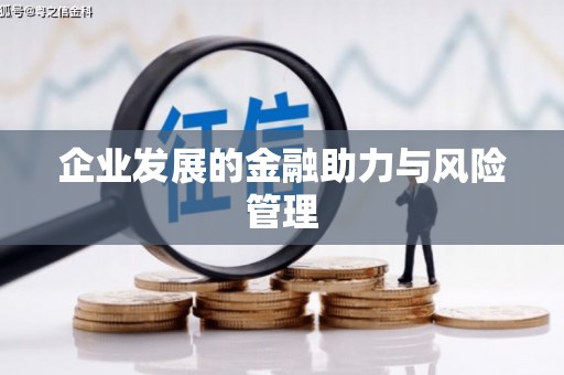 大甲企业发展的金融助力与风险管理