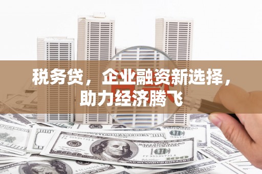 大甲税务贷，企业融资新选择，助力经济腾飞
