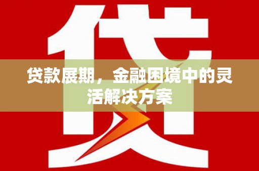 大甲贷款展期，金融困境中的灵活解决方案