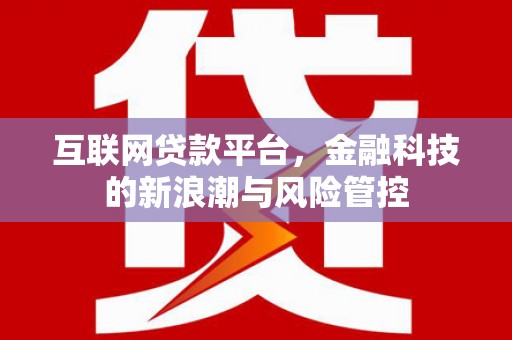 大甲互联网贷款平台，金融科技的新浪潮与风险管控