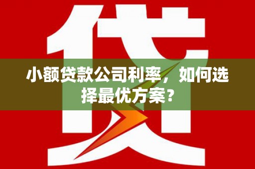 大甲小额贷款公司利率，如何选择最优方案？