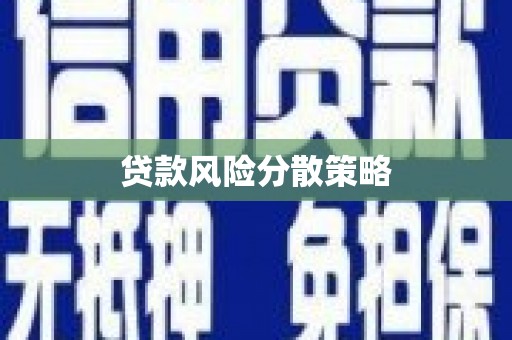 大甲贷款风险分散策略