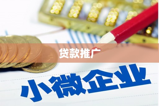 大甲贷款推广