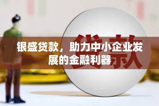 大甲银盛贷款，助力中小企业发展的金融利器