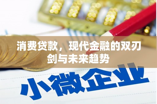 大甲消费贷款，现代金融的双刃剑与未来趋势