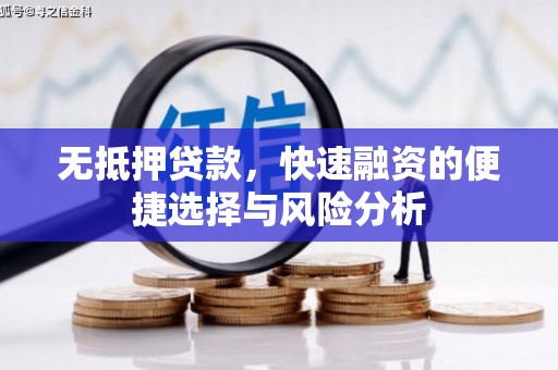 大甲无抵押贷款，快速融资的便捷选择与风险分析