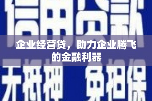 大甲企业经营贷，助力企业腾飞的金融利器