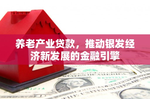 大甲养老产业贷款，推动银发经济新发展的金融引擎