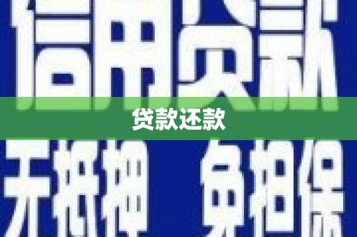 大甲贷款还款
