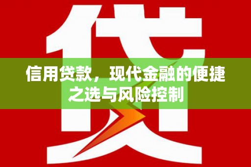 大甲信用贷款，现代金融的便捷之选与风险控制