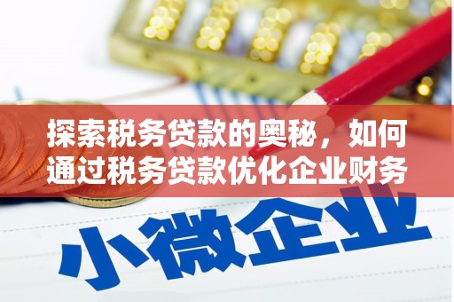 大甲探索税务贷款的奥秘，如何通过税务贷款优化企业财务