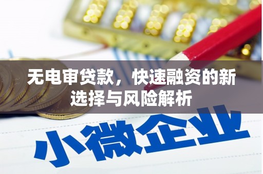 大甲无电审贷款，快速融资的新选择与风险解析