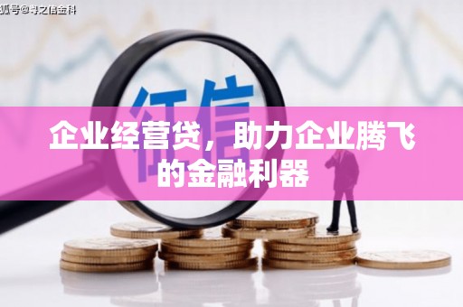 大甲企业经营贷，助力企业腾飞的金融利器