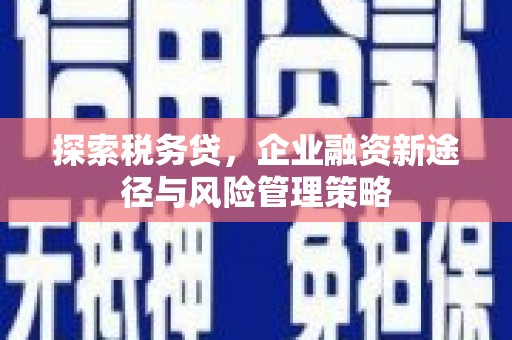 大甲探索税务贷，企业融资新途径与风险管理策略