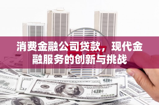 大甲消费金融公司贷款，现代金融服务的创新与挑战