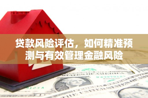 大甲贷款风险评估，如何精准预测与有效管理金融风险