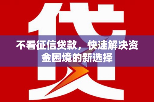 大甲不看征信贷款，快速解决资金困境的新选择