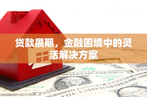 大甲贷款展期，金融困境中的灵活解决方案