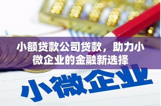 大甲小额贷款公司贷款，助力小微企业的金融新选择