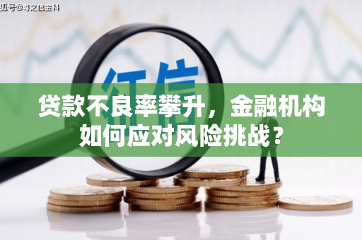 大甲贷款不良率攀升，金融机构如何应对风险挑战？
