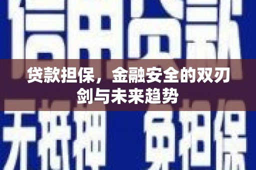 大甲贷款担保，金融安全的双刃剑与未来趋势