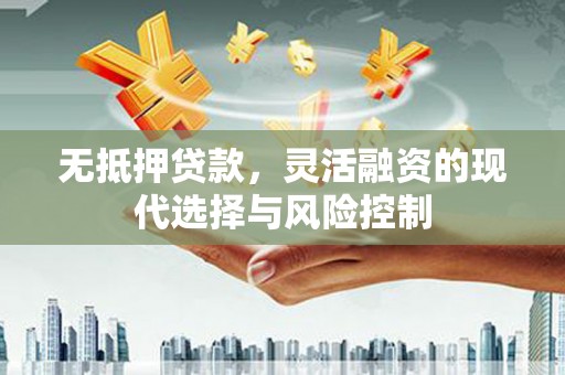 大甲无抵押贷款，灵活融资的现代选择与风险控制